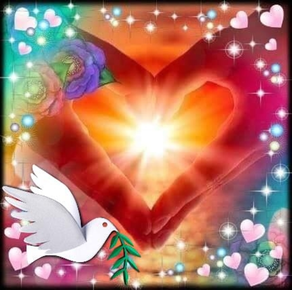 Meet your Posher, Dianne